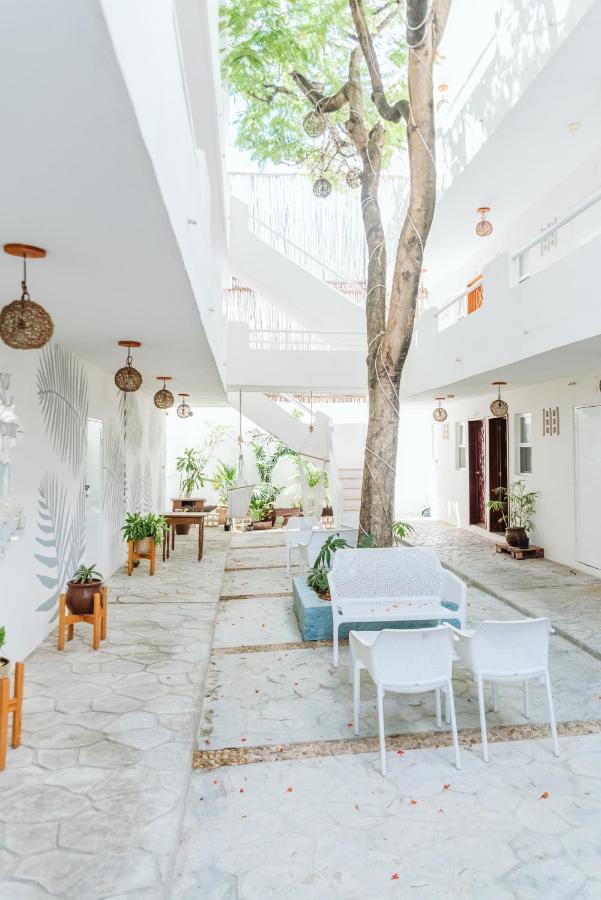 Ahava Hotel 신데 델 카르멘 외부 사진